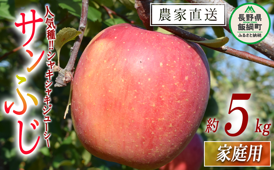 りんご サンふじ 家庭用 5kg 山岸ファーム 沖縄県への配送不可 2025年12月上旬頃から2025年12月下旬頃まで順次発送予定 令和7年度収穫分 信州 果物 フルーツ リンゴ 林檎 長野 13500円 予約 農家直送 長野県 飯綱町 [1153]
