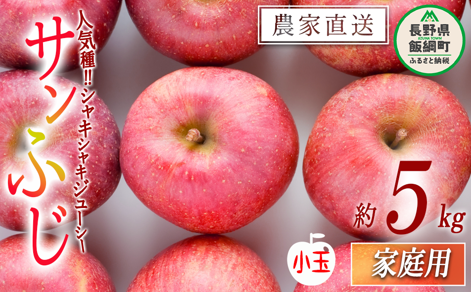 りんご サンふじ 家庭用 ( 小玉 ) 5kg 山岸ファーム 沖縄県への配送不可 2025年12月上旬頃から2025年12月下旬頃まで順次発送予定 令和7年度収穫分 信州 果物 フルーツ リンゴ 林檎 長野 11000円 予約 農家直送 長野県 飯綱町 [1155]