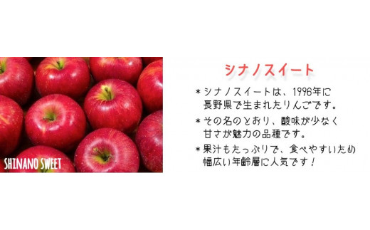 [0884]【令和6年度収穫分】シナノスイート　家庭用5kg　サイズおまかせ　※沖縄および離島への配送不可　※2024年10月上旬頃から順次発送予定　井澤農園　エコファーマー認定　減農薬栽培　化学肥料不使用　飯綱町川上大窪谷