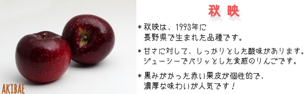 りんご 秋映 秀 ～ 特秀 5kg 渡辺農園 沖縄県への配送不可 2024年10月中旬頃から2024年10月下旬頃まで順次発送予定 令和6年度収穫分 エコファーマー認定 減農薬栽培 長野県 飯綱町 [0363]