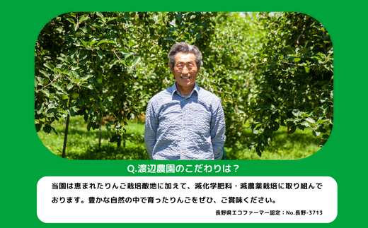 りんご シナノスイート 家庭用 5kg 渡辺農園 沖縄県への配送不可 2025年10月中旬頃から2025年11月上旬頃まで順次発送予定 令和7年度収穫分 エコファーマー認定 減農薬栽培 長野県 飯綱町 [1021]