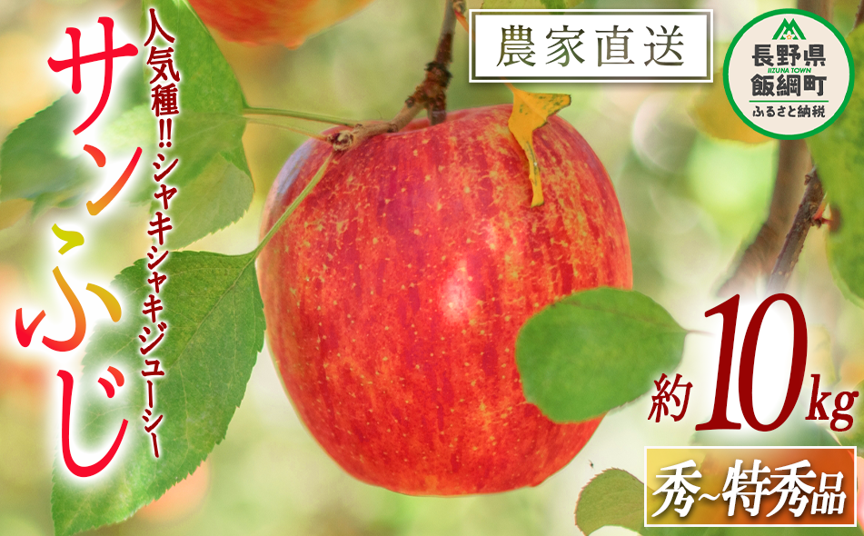 りんご サンふじ 秀 ～ 特秀 10kg 渡辺農園 2025年12月上旬頃から2026年1月中旬頃まで順次発送予定 令和7年度収穫分 エコファーマー認定 減農薬栽培 長野県 飯綱町 [0170]