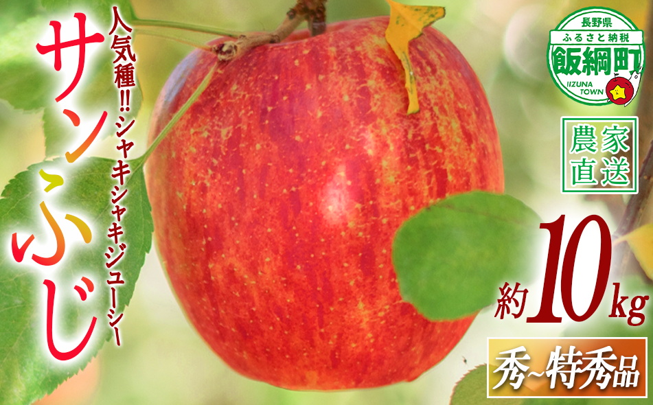 りんご サンふじ 秀 ～ 特秀 10kg 渡辺農園 2026年12月上旬頃から2027年1月中旬頃まで順次発送予定 令和8年度収穫分 エコファーマー認定 減農薬栽培 長野県 飯綱町 [0170]