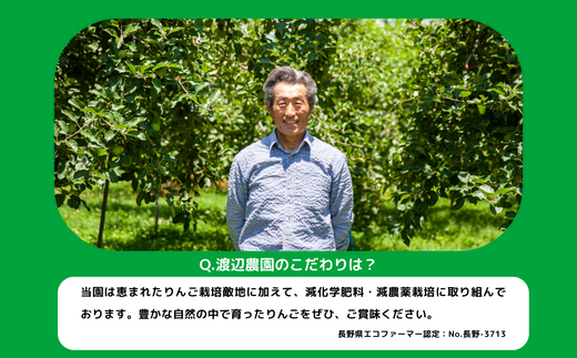 りんご サンふじ 秀 ～ 特秀 10kg 渡辺農園 2026年12月上旬頃から2027年1月中旬頃まで順次発送予定 令和8年度収穫分 エコファーマー認定 減農薬栽培 長野県 飯綱町 [0170]
