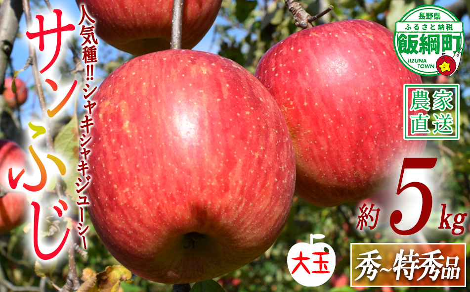 りんご サンふじ 秀 ～ 特秀 ( 大玉 ) 5kg 渡辺農園 沖縄県への配送不可 2026年12月上旬頃から2027年1月中旬頃まで順次発送予定 令和8年度収穫分 エコファーマー認定 減農薬栽培 長野県 飯綱町 [0804]