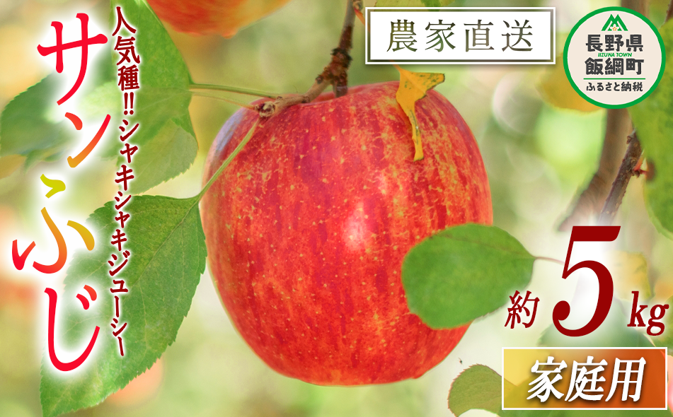 りんご サンふじ 家庭用 5kg 渡辺農園 沖縄県への配送不可 2025年12月上旬頃から2026年1月中旬頃まで順次発送予定 令和7年度収穫分 エコファーマー認定 減農薬栽培 長野県 飯綱町 [1023]