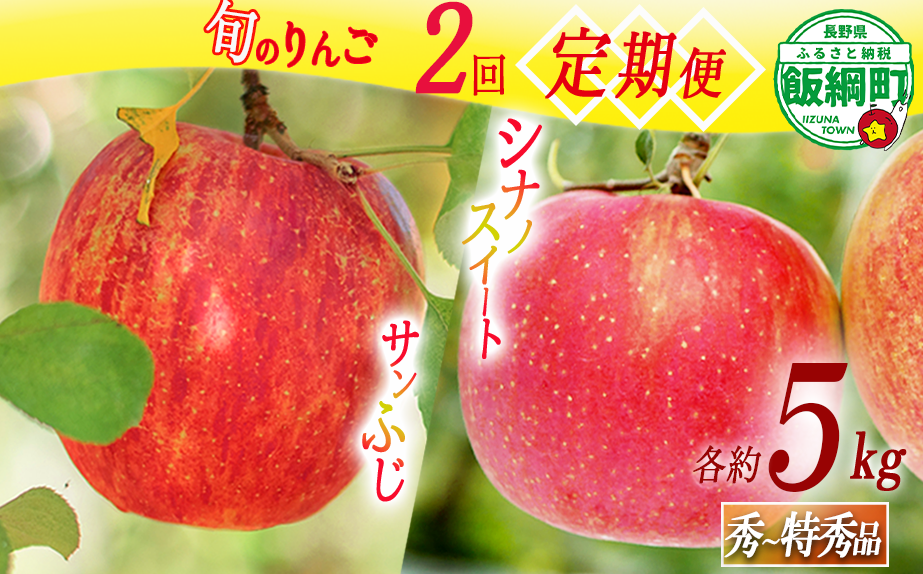 旬のりんご 【 定期便 】 秀 ～ 特秀 5kg × 2回 渡辺農園 沖縄県への配送不可 2026年10月中旬頃から2026年12月中旬頃まで順次発送予定 令和8年度収穫分 シナノスイート サンふじ エコファーマー認定 減農薬栽培 長野県 飯綱町 [1147]