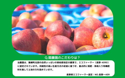 米 こしひかり 10kg × 6回 【 6か月 定期便 】( 令和5年産 ) 関農園