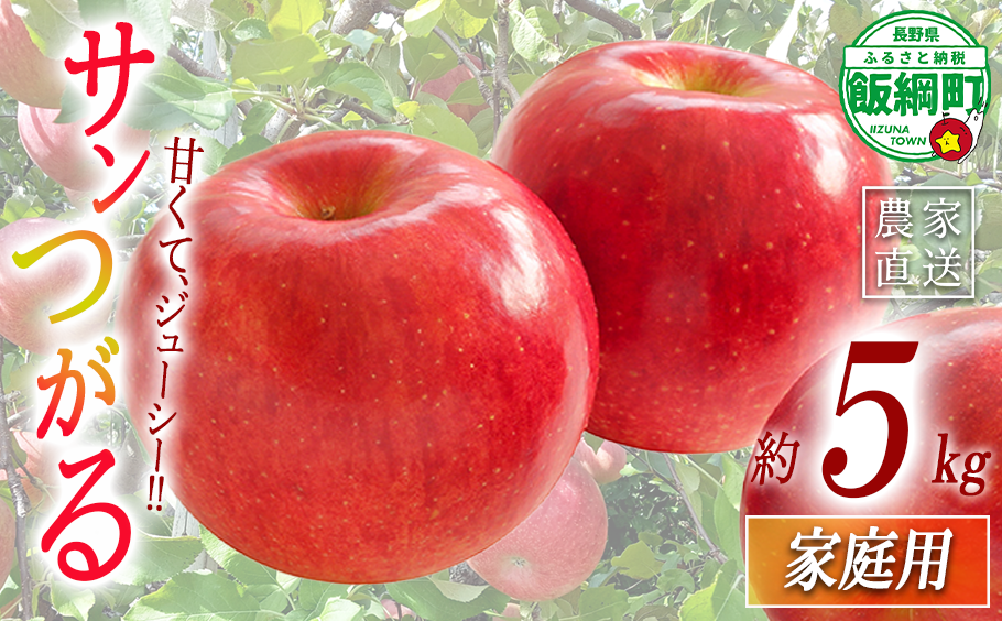 りんご サンつがる 家庭用 5kg 関農園 沖縄県への配送不可 2026年8月下旬頃から2026年9月上旬頃まで順次発送予定 エコファーマー認定 令和8年度収穫分 信州 果物 フルーツ リンゴ 林檎 長野 予約 農家直送 長野県 飯綱町 [1087]