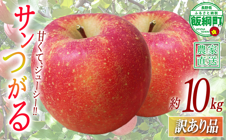 りんご サンつがる 訳あり 10kg 関農園 沖縄県への配送不可 2026年8月下旬頃から2026年9月上旬頃まで順次発送予定 エコファーマー認定 令和8年度収穫分 傷 不揃い リンゴ 林檎 果物 フルーツ 信州 長野 予約 農家直送 長野県 飯綱町 [1088]