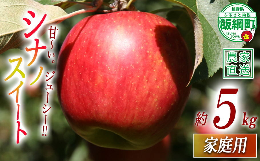 りんご シナノスイート 家庭用 5kg 関農園 沖縄県への配送不可 2026年10月上旬頃から2026年10月下旬頃まで順次発送予定 エコファーマー認定 令和8年度収穫分 信州 果物 フルーツ リンゴ 林檎 長野 農家直送 長野県 飯綱町 [1090]