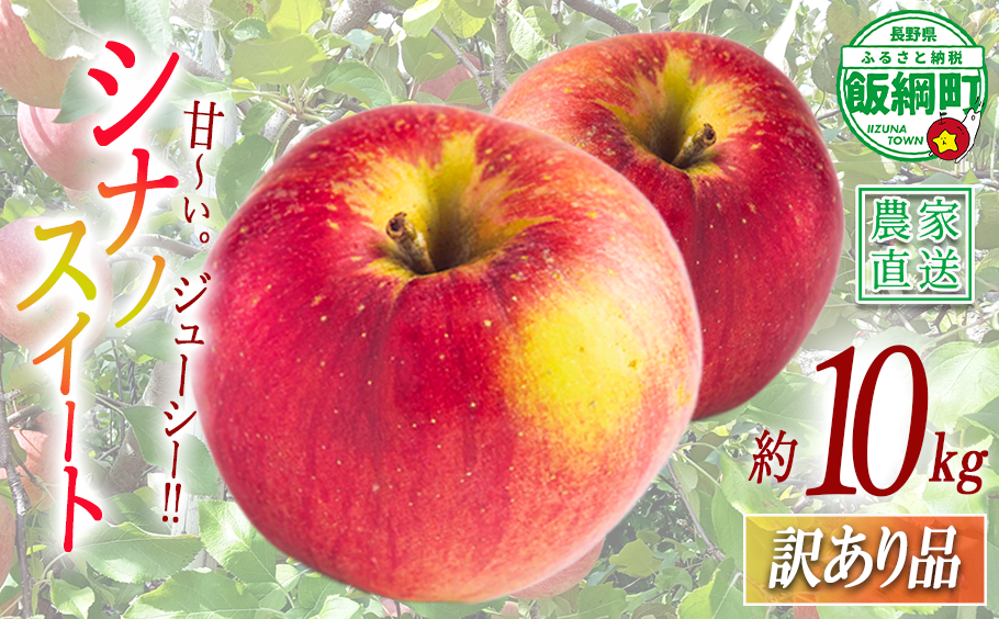 りんご シナノスイート 訳あり 10kg 関農園 2026年10月上旬頃から2026年10月下旬頃まで順次発送予定 エコファーマー認定 令和8年度収穫分 傷 不揃い リンゴ 林檎 果物 フルーツ 信州 長野 予約 農家直送 長野県 飯綱町 [1091]