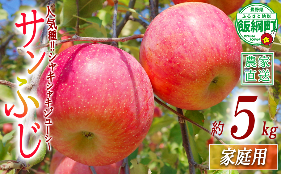 りんご サンふじ 家庭用 5kg 関農園 沖縄県への配送不可 2026年12月上旬頃から2026年12月下旬頃まで順次発送予定 エコファーマー認定 令和8年度収穫分 信州 果物 フルーツ リンゴ 林檎 長野 予約 農家直送 長野県 飯綱町 [1093]