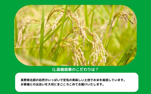 米 こしひかり 10kg ( 令和5年産 ) 高橋商事 沖縄県への配送不可 2023年11月上旬頃から順次発送予定 コシヒカリ 白米 精米 お米 信州 19500円 予約 農家直送 長野県 飯綱町 [0838]