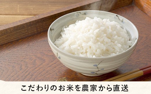 米 こしひかり 10kg × 6回 【 6か月 定期便 】( 令和5年産 ) 高橋商事 沖縄県への配送不可 2023年11月上旬頃から順次発送予定 コシヒカリ 白米 精米 お米 信州 117000円 予約 農家直送 長野県 飯綱町 [0840]