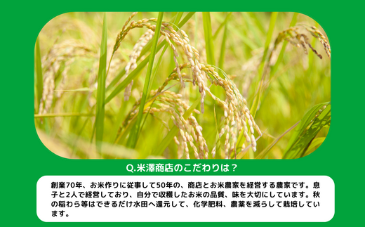 【令和6年度収穫分】信州飯綱町産　こしひかり（玄米）10kg×12回【12カ月定期便】 ※沖縄および離島への配送不可　※2024年10月上旬頃から順次発送予定　米澤商店[1372]