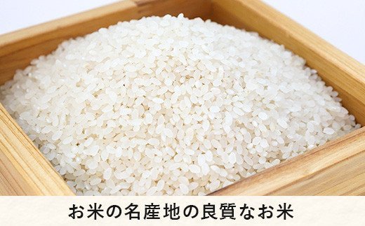 【令和6年度収穫分】信州飯綱町産　こしひかり（玄米）10kg×12回【12カ月定期便】 ※沖縄および離島への配送不可　※2024年10月上旬頃から順次発送予定　米澤商店[1372]