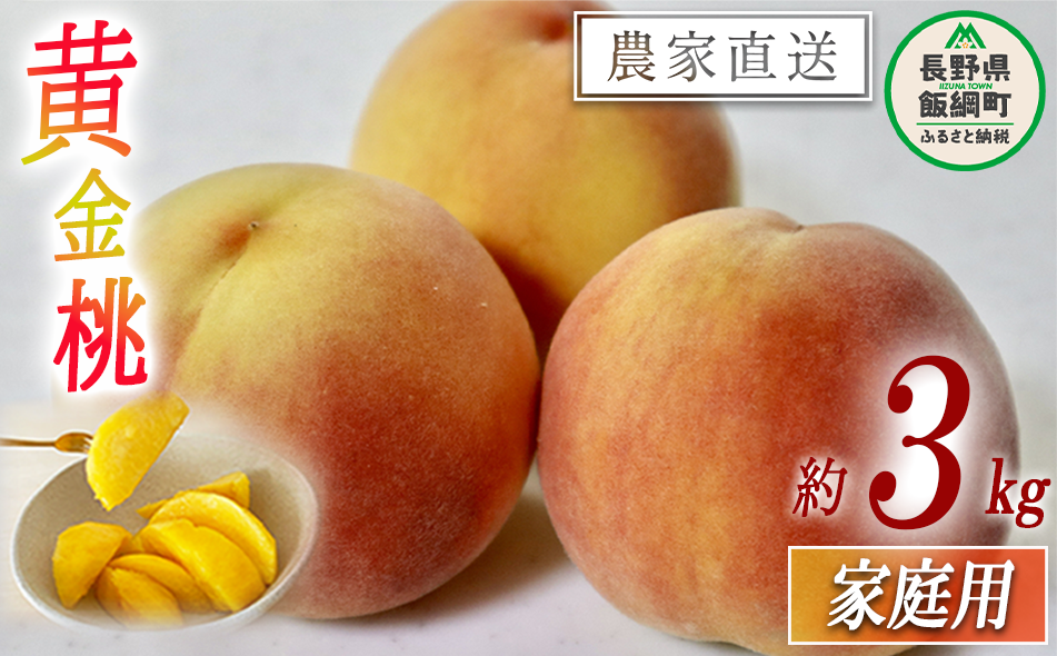 もも 黄金桃 ( 袋かけ無し ) 家庭用 3kg 松橋りんご園 配送先は本州限定 2026年8月中旬頃から2026年9月中旬頃まで順次発送予定 令和8年度収穫分 フルーツ 果物 モモ 桃 長野県 飯綱町 [1383]