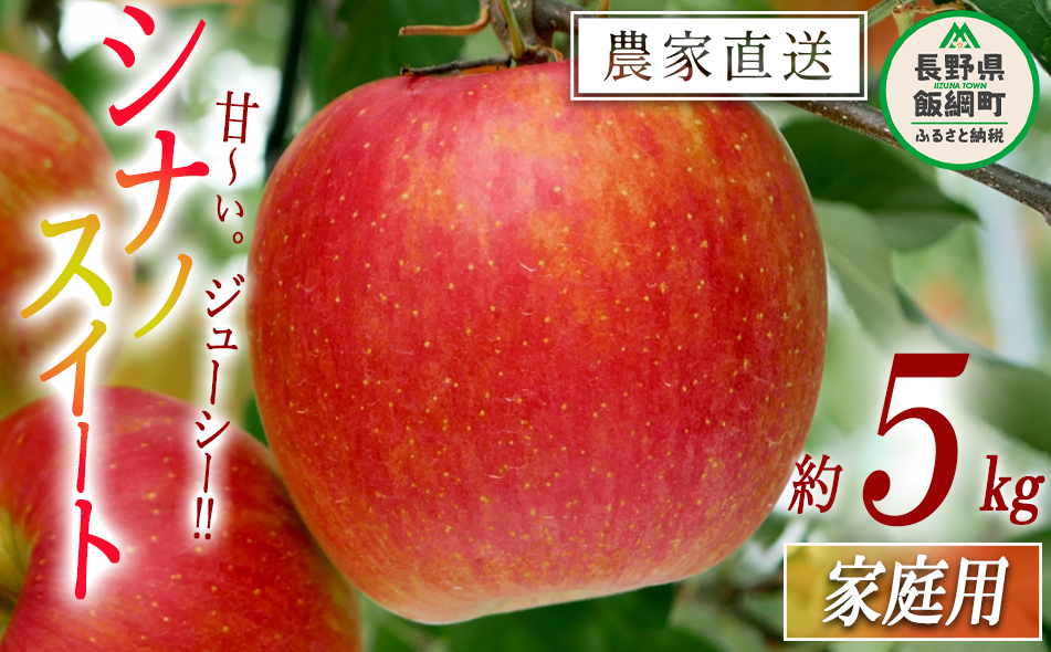 りんご シナノスイート 家庭用 5kg 松橋りんご園 沖縄県への配送不可 2026年10月上旬頃から2026年11月上旬頃まで順次発送予定 令和8年度収穫分 フルーツ リンゴ 信州 長野県 飯綱町 [0826]