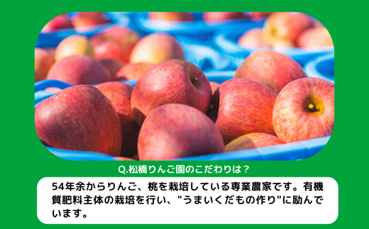 りんご シナノスイート 家庭用 5kg 松橋りんご園 沖縄県への配送不可 2026年10月上旬頃から2026年11月上旬頃まで順次発送予定 令和8年度収穫分 フルーツ リンゴ 信州 長野県 飯綱町 [0826]