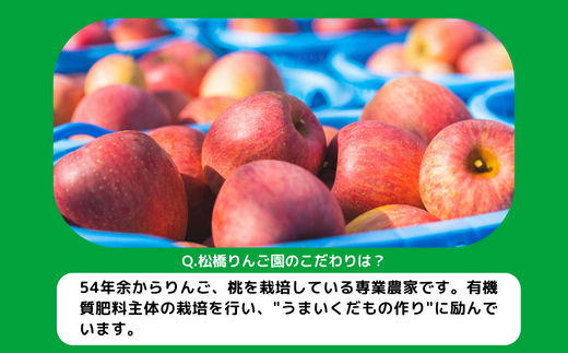 旬のりんご 【 定期便 】 訳あり 9kg 〜 10kg × 4回 松橋りんご園 沖縄