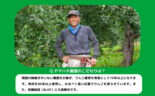 りんご サンふじ 家庭用 ( 小玉 ) 5kg ヤマハチ農園 沖縄県への配送不可 2026年12月上旬頃から2027年1月上旬頃まで順次発送予定 令和8年度収穫分 BLOF理論栽培 信州 果物 フルーツ リンゴ 林檎 長野 予約 農家直送 長野県 飯綱町 [0663]
