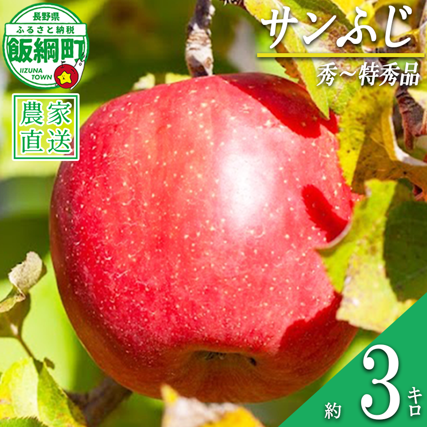 りんご サンふじ 秀 ～ 特秀 3kg 松澤農園 沖縄県への配送不可 2026年11月下旬頃から2027年2月上旬頃まで順次発送予定 令和8年度収穫分 長野県 飯綱町 [1336]
