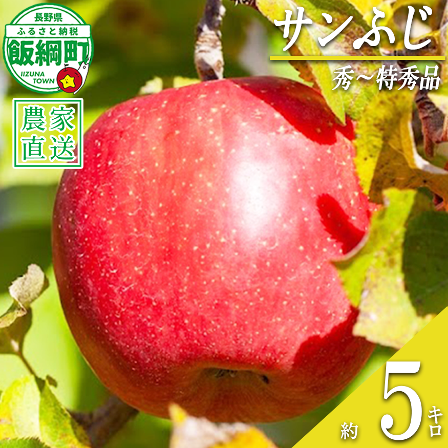 りんご サンふじ 秀 ～ 特秀 5kg 松澤農園 沖縄県への配送不可 2026年11月下旬頃から2027年2月上旬頃まで順次発送予定 令和8年度収穫分 長野県 飯綱町 [0502]