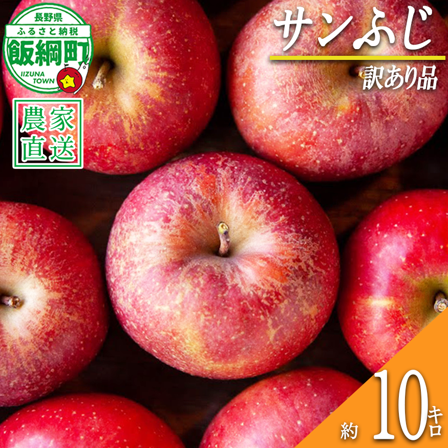 りんご サンふじ 訳あり 10kg 松澤農園 沖縄県への配送不可 2026年11月下旬頃から2027年2月下旬頃まで順次発送予定 令和8年度収穫分 長野県 飯綱町 [0503]