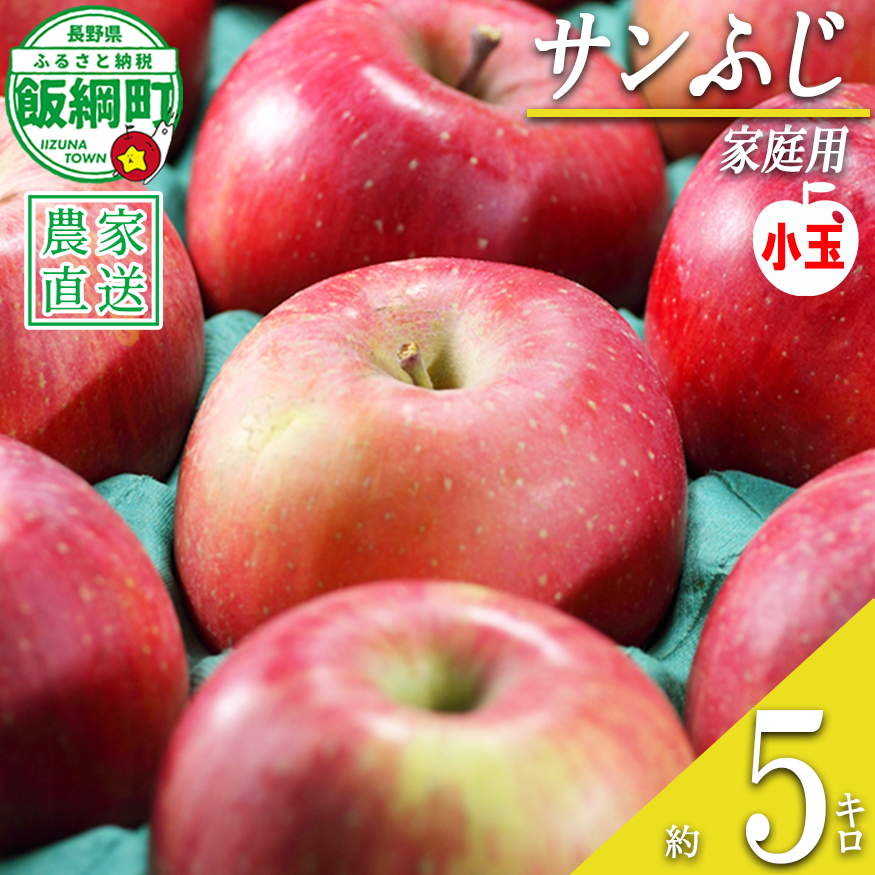 りんご サンふじ ( 小玉 ) 家庭用 5kg 松澤農園 沖縄県への配送不可 2026年11月下旬頃から2027年2月下旬頃まで順次発送予定 令和8年度収穫分 長野県 飯綱町 [0717]