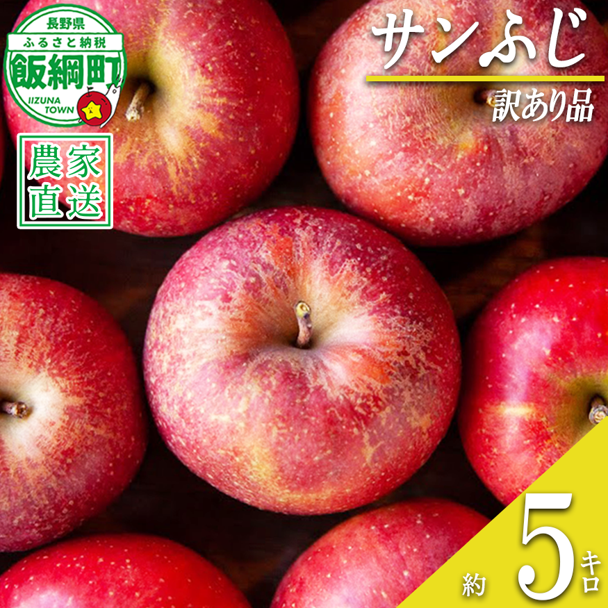 りんご サンふじ 訳あり 5kg 松澤農園 沖縄県への配送不可 2026年11月下旬頃から2027年2月下旬頃まで順次発送予定 令和8年度収穫分 長野県 飯綱町 [1286]
