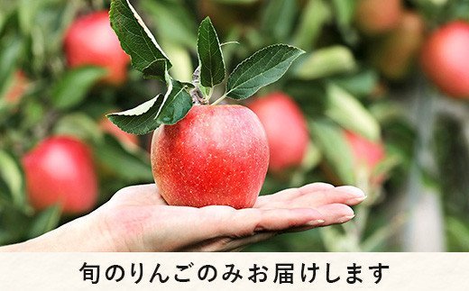 りんご サンふじ 秀 ～ 特秀 ( 大玉 ) 5kg 渡辺農園 沖縄県への配送不可 2024年12月上旬頃から2025年1月中旬頃まで順次発送予定 令和6年度収穫分 エコファーマー認定 減農薬栽培 長野県 飯綱町 [0804]