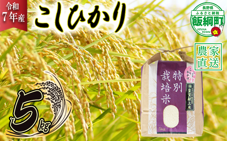 米 皇室献上実績 こしひかり 5kg ( 令和7年産 ) 特別栽培米 仲俣農園 2025年10月上旬頃から順次発送予定 コシヒカリ 白米 精米 お米 信州 23000円 予約 農家直送 長野県 飯綱町 [0669]