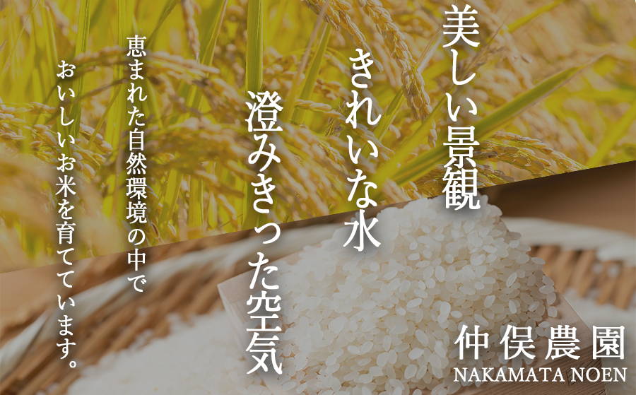 米 無農薬栽培 こしひかり 5kg × 6回 【 6か月 定期便 】( 令和7年産 ) 特別栽培米 仲俣農園 2025年10月上旬頃から順次発送予定 コシヒカリ 白米 精米 お米 無農薬 数量限定 信州 192000円 予約 農家直送 長野県 飯綱町 [1186]