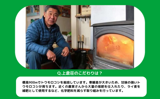 信州産 朝採りとうもろこし 8本～10本 ( おおもの ) 上倉荘 配送先は本州限定 2024年8月上旬頃から2024年9月下旬頃まで順次発送予定 信州 トウモロコシ コーン  おおもの 野菜 12500円 長野県 飯綱町 [0763]