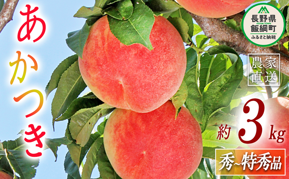 もも あかつき 秀  特秀 約 3kg 大垣農園 配送先は本州限定 2023年8月上旬頃から2023年8月中旬頃まで順次発送予定 令和5年度収穫分 信州 果物 フルーツ モモ 桃 長野 16000円 予約 農家直送 長野県 飯綱町 [0316]