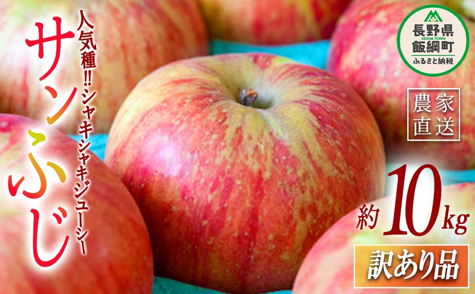りんご サンふじ 訳あり 10kg 永正の地蔵尊神谷農園 沖縄県への配送不可 2025年12月中旬頃から2026年3月上旬頃まで順次発送予定 令和7年度収穫分 傷 不揃い リンゴ 林檎 果物 フルーツ 信州 長野 19000円 予約 農家直送 長野県 飯綱町 [0209]