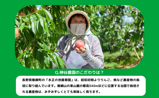 りんご サンふじ 家庭用 ( 小玉 ) 5kg 永正の地蔵尊神谷農園 沖縄県への配送不可 2026年1月上旬頃から2026年3月上旬頃まで順次発送予定 令和7年度収穫分 信州 果物 フルーツ リンゴ 林檎 長野 11000円 予約 農家直送 長野県 飯綱町 [0775]