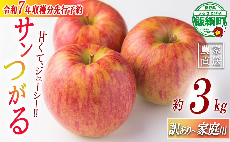 りんご サンつがる 家庭用・訳あり3kg 農家応援企画 【令和7年度収穫分】 ※沖縄県への配送不可 ※2025年8月下旬頃から9月中旬頃まで順次発送予定 長野県飯綱町[0786]