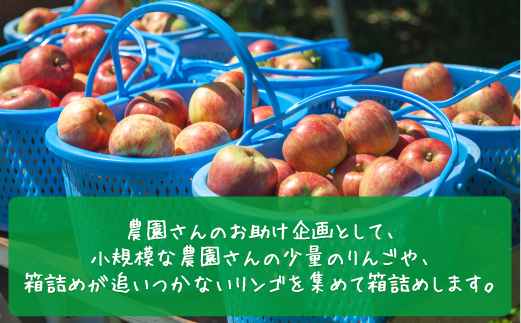 りんご サンつがる 家庭用・訳あり3kg 農家応援企画 【令和7年度収穫分】 ※沖縄県への配送不可 ※2025年8月下旬頃から9月中旬頃まで順次発送予定 長野県飯綱町[0786]