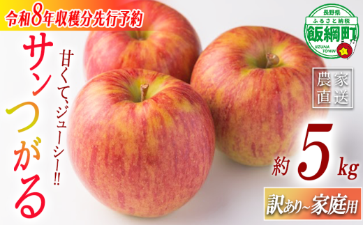りんご 農家応援企画 サンつがる 家庭用・訳あり5kg 【令和8年度収穫分】※沖縄県への配送不可 ※2026年8月下旬頃から9月中旬頃まで順次発送予定 長野県飯綱町[1110]