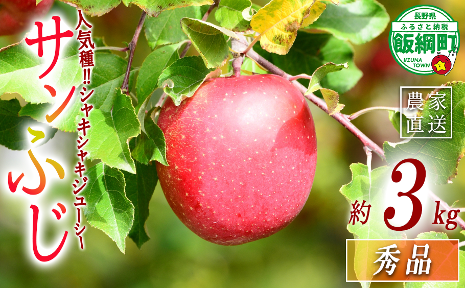 ＼農家応援企画 りんご／ サンふじ 3Kg 秀 長野県 飯綱町産 令和7年度収穫分 【 リンゴ 林檎 ふじ 信州 長野 秀品 14000円 14000 】 2025年11月下旬から2025年12月下旬頃までお申込み順に発送予定 沖縄および離島への配送不可 長野県 飯綱町 [1285]