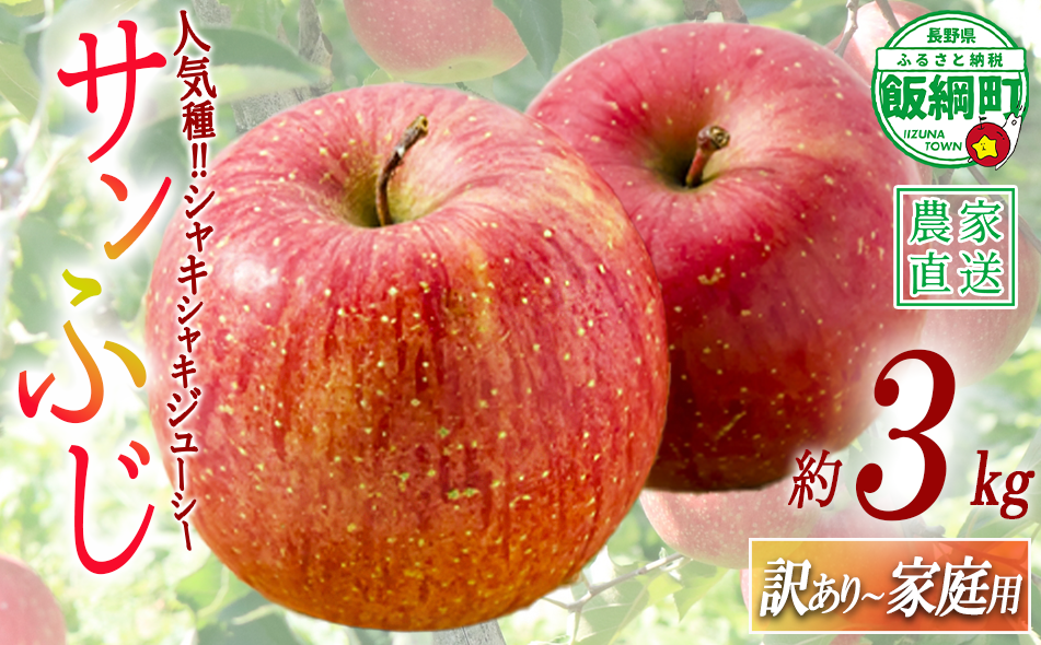 ＼農家応援企画／【令和8年度先行予約返礼品】りんご サンふじ 3kg （約 8 ～ 13玉 ） 訳あり ～ 家庭用 《 ふじ リンゴ 林檎 訳アリ わけあり 不揃い 果物 くだもの フルーツ 長野県産 長野 お試し 》 令和8年収穫分 2026年11月下旬から2027年2月上旬頃までお申込み順に発送予定 長野県 飯綱町 [0566]