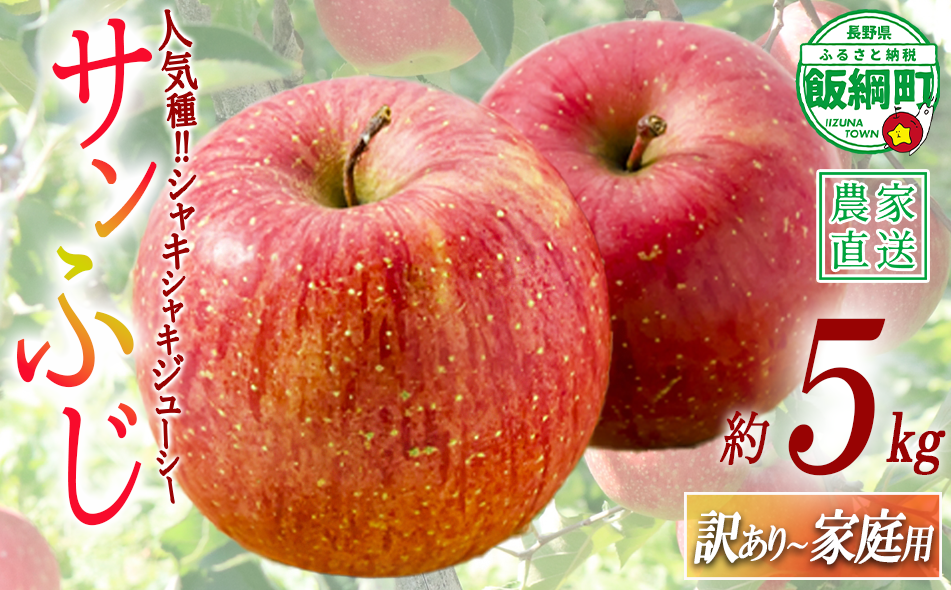 ＼農家応援企画／【令和8年度先行予約返礼品】りんご サンふじ 5kg 訳あり ～ 家庭用 ふじ リンゴ 林檎 訳アリ わけあり 不揃い 果物 くだもの フルーツ 長野県産 長野 お試し 令和8年収穫分 2026年11月下旬から2027年2月上旬頃までお申込み順に発送予定 長野県 飯綱町 [0582]