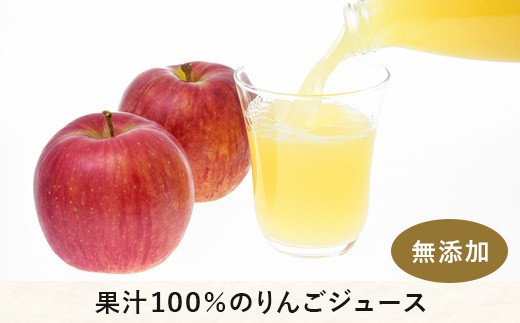 りんごジュース 2種セット ( 紅玉 ブレンド & シナノゴールド ) 1000ml × 各 3本 無添加 (株) マッシュアンドフルーツ 沖縄県への配送不可  信州の環境にやさしい農産物認証50-50 減農薬栽培 長野県 飯綱町 [1295]