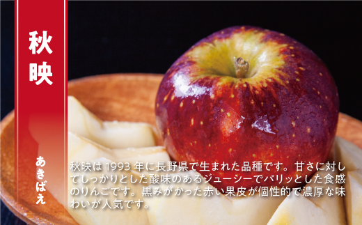 りんご 秋映 秀 5kg 光センサー選別品 ながの農業協同組合 沖縄県への配送不可 2026年10月上旬頃から2026年10月中旬頃まで順次発送予定 令和8年度収穫分 信州 果物 フルーツ リンゴ 林檎 長野 予約 長野県 飯綱町 [0342]