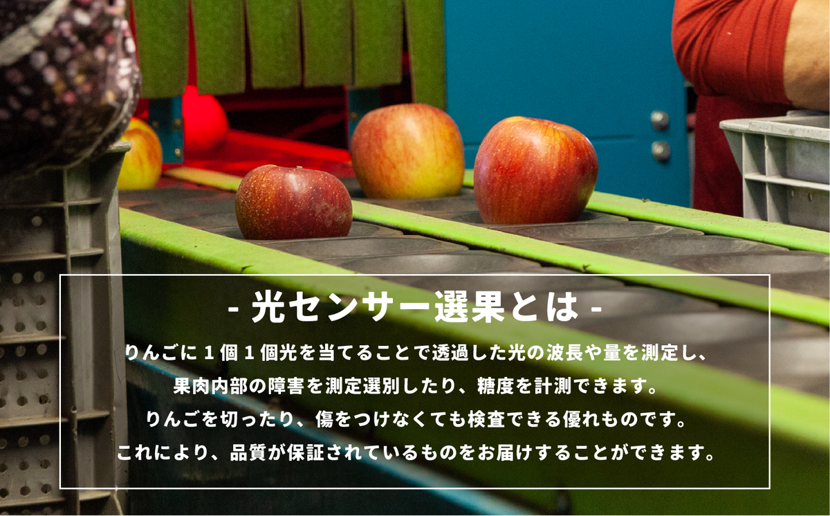 【 感謝りんご / 光センサー選別品 】 りんご 秋映 訳あり 5kg （ 12玉 〜 25玉 ） 交換保証 ながの農業協同組合 2026年10月上旬頃から2026年10月下旬頃まで順次発送予定 令和8年度収穫分 傷 不揃い リンゴ 林檎 果物 フルーツ 信州 長野  予約 長野県 飯綱町 [1202]
