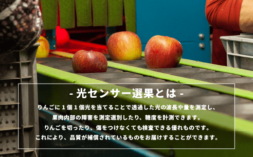 りんご 10Kg 【令和６年度先行予約】 果物 訳あり シナノスイート 長野県 感謝りんご 交換保証 規格外 傷あり 10キロ (２４から５０玉)  R6年10月頃順次発送  飯綱町 [1206]