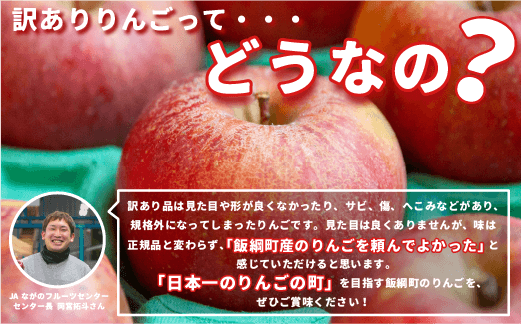 りんご 10Kg 【令和６年度先行予約】 果物 訳あり シナノスイート 長野県 感謝りんご 交換保証 規格外 傷あり 10キロ (２４から５０玉)  R6年10月頃順次発送  飯綱町 [1206]