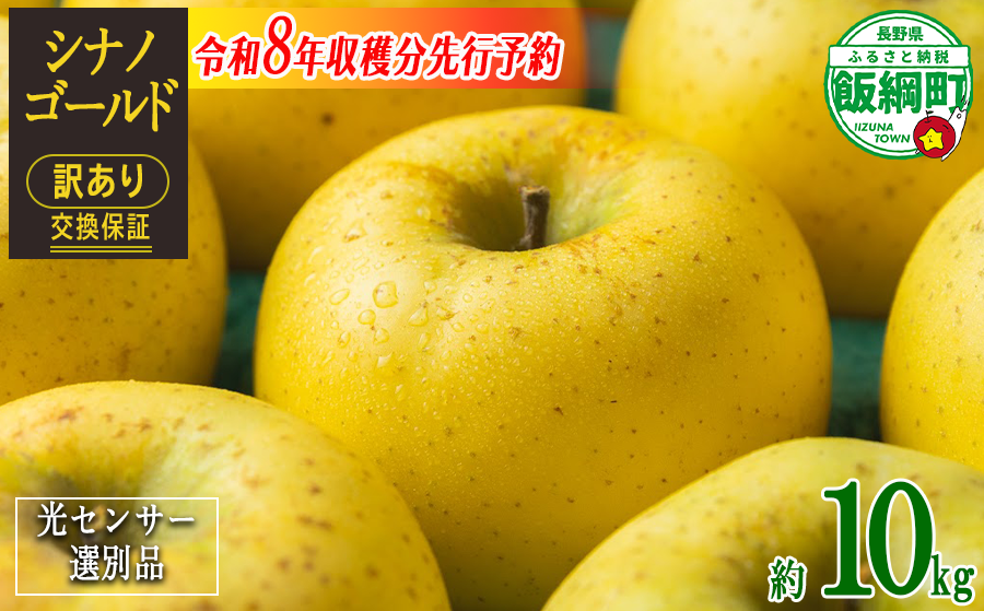 【 感謝りんご / 光センサー選別品 】 りんご シナノゴールド 訳あり 10kg （ 24玉 〜 50玉 ） 交換保証 ながの農業協同組合 沖縄県への配送不可 2026年11月上旬頃から2026年11月下旬頃まで順次発送予定 令和8年度収穫分 傷 不揃い リンゴ 林檎 果物 フルーツ 信州 長野 20000円 予約 長野県 飯綱町 [1209]